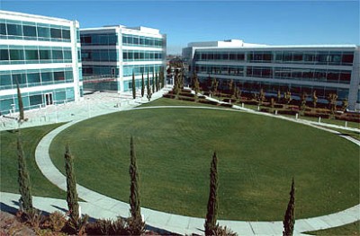 stanford